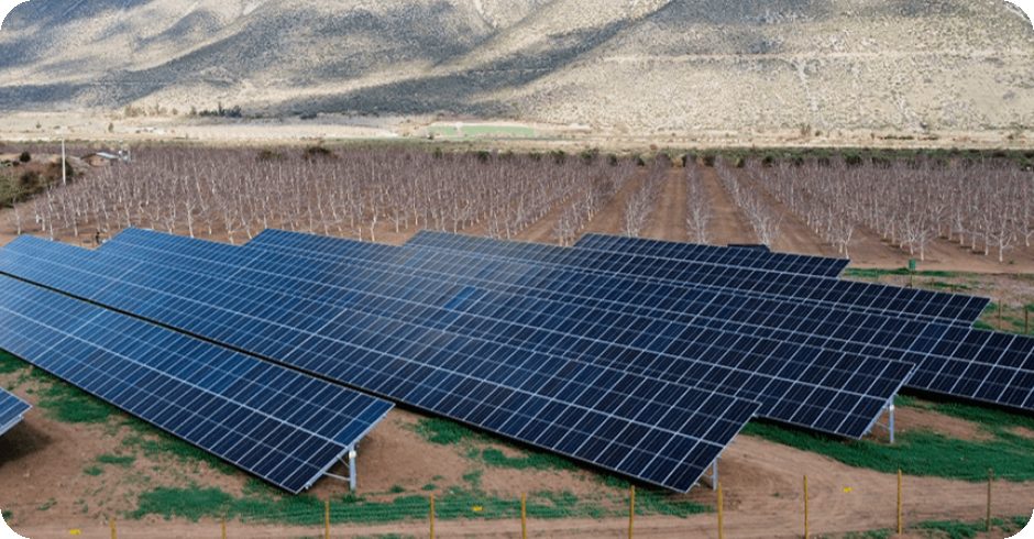 Auric Energy ground-mount solar installation